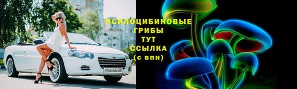 молекула духа Надым