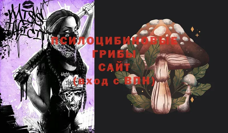 Псилоцибиновые грибы Psilocybine cubensis Петровск-Забайкальский